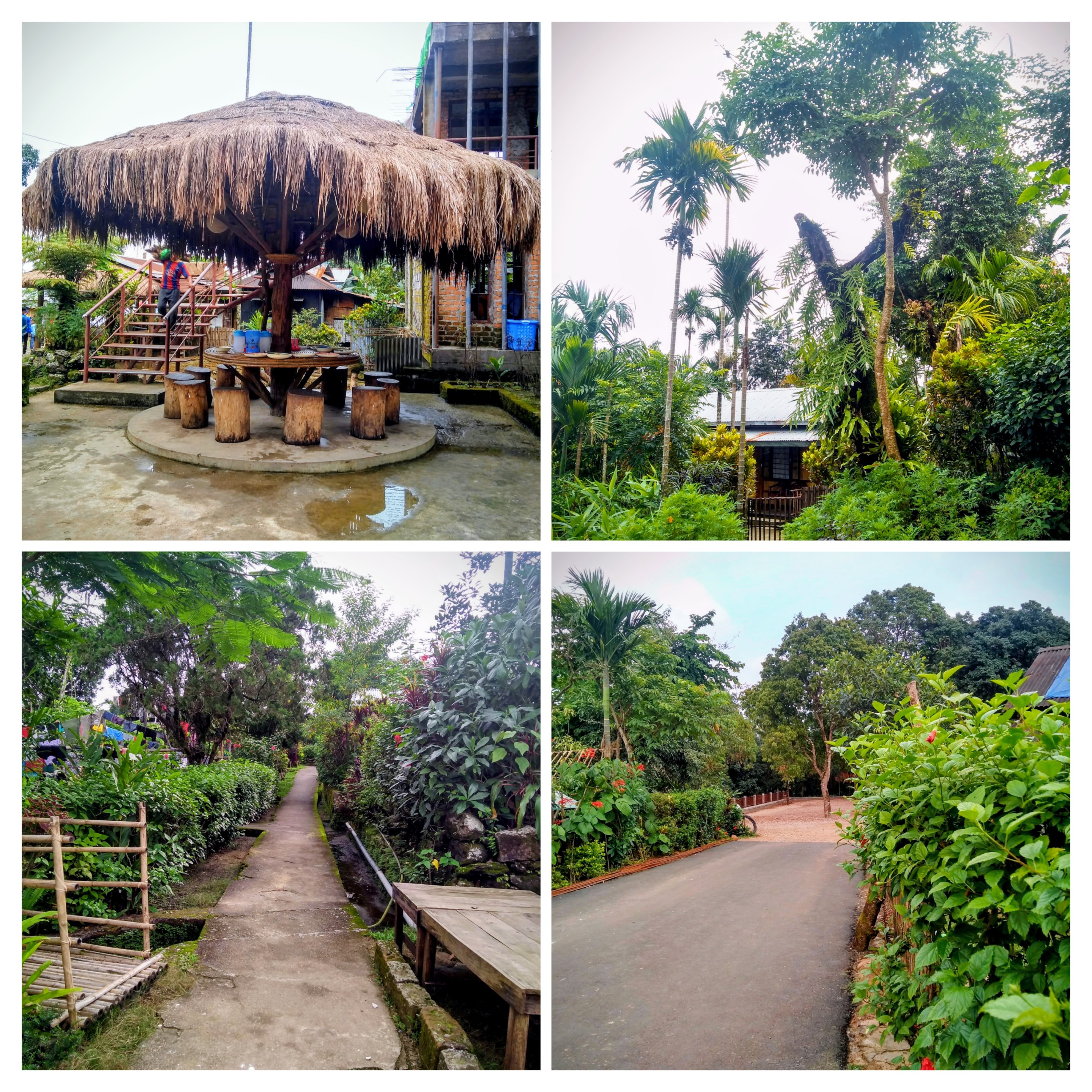 A four-image collage showing a thatched gazebo, palm trees, and clean pathways in a green village in Meghalaya.