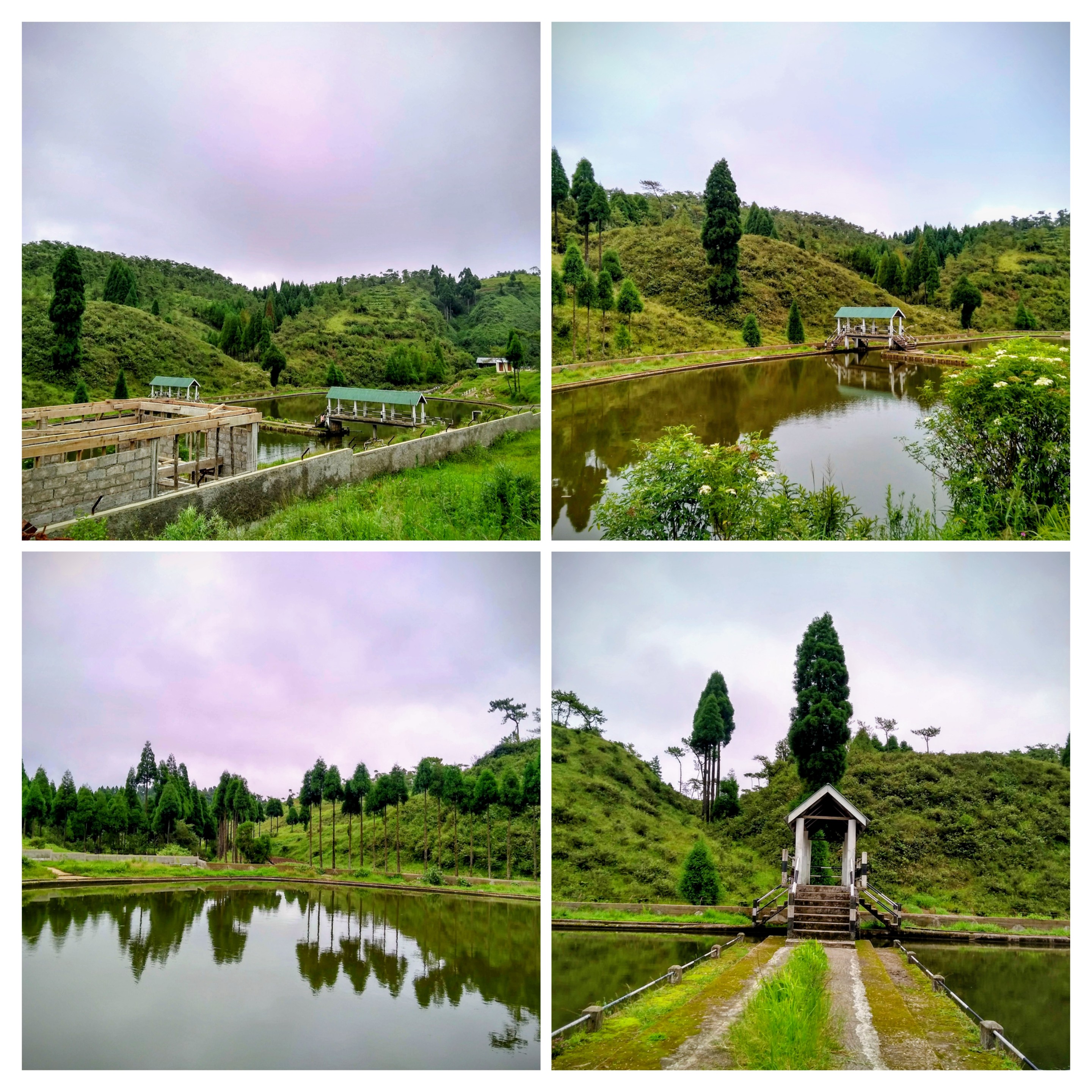 Emerald mounds and still waters in Mawsynram